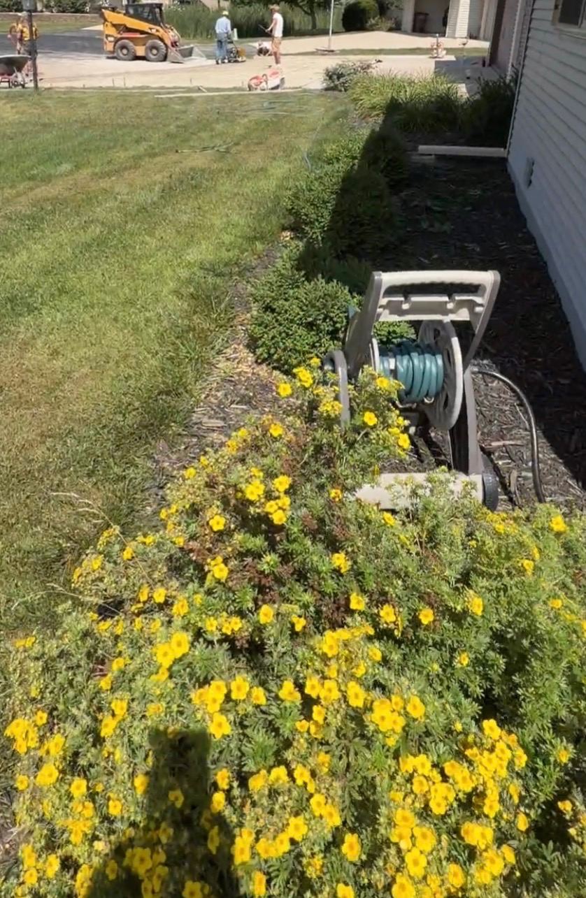 Overgrown flower bed spilling into the lawn with no edging