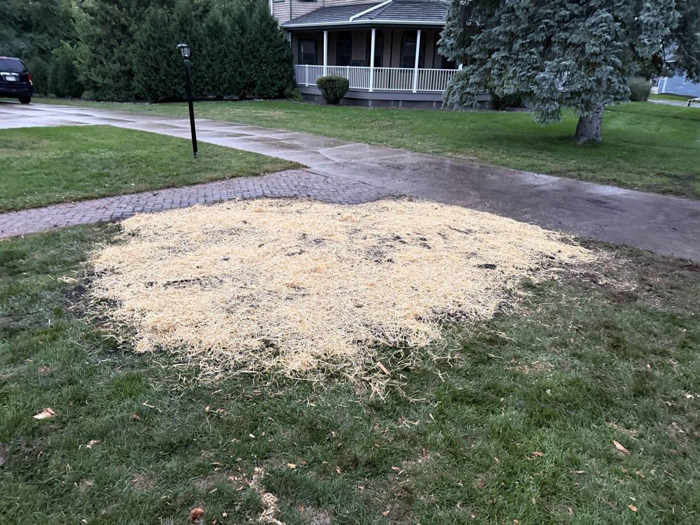 Same spot leveled, seeded and covered with straw